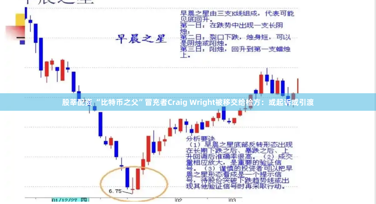 股莘配资 “比特币之父”冒充者Craig Wright被移交给检方：或起诉或引渡