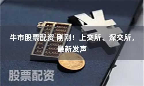 牛市股票配资 刚刚！上交所、深交所，最新发声