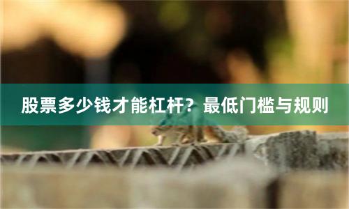 股票多少钱才能杠杆？最低门槛与规则