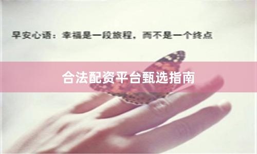 合法配资平台甄选指南