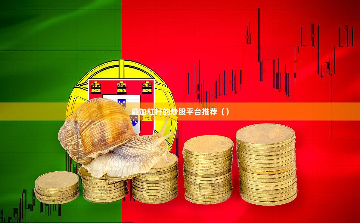 能加杠杆的炒股平台推荐（）