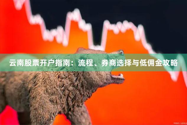 云南股票开户指南：流程、券商选择与低佣金攻略