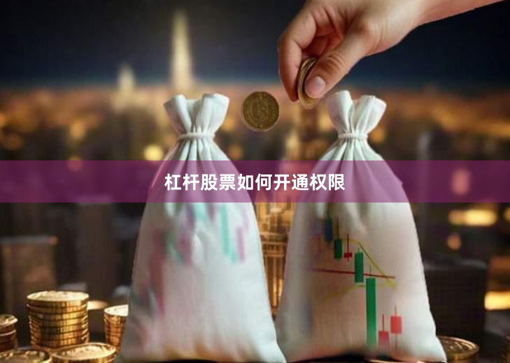 杠杆股票如何开通权限