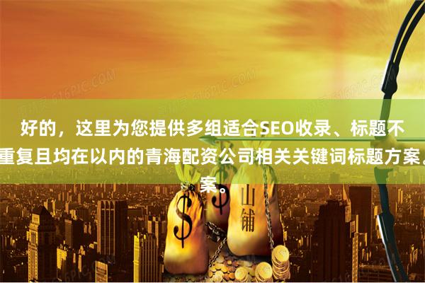 好的，这里为您提供多组适合SEO收录、标题不重复且均在以内的青海配资公司相关关键词标题方案。