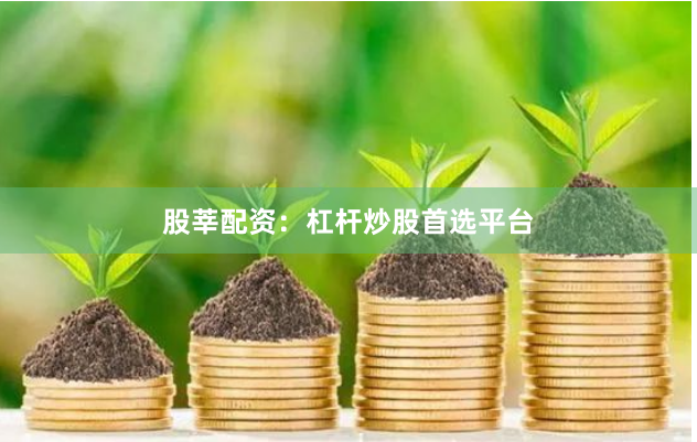 股莘配资：杠杆炒股首选平台